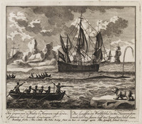 KG 08767
<br/>
Het Loopen van de Walvis 't Harpoen vast zynde ...
<br/>
<em>Laan, Adolf van der</em>